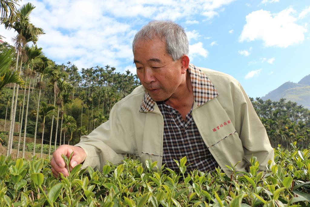 דירות Meishan De Ren Tea Gardens מראה חיצוני תמונה